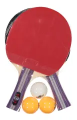 Selex WTR02 Masa Tenisi Seti (2 Raket + 3 Top)